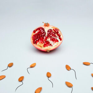 Grapefruit, Kerne als Spermien getarnt